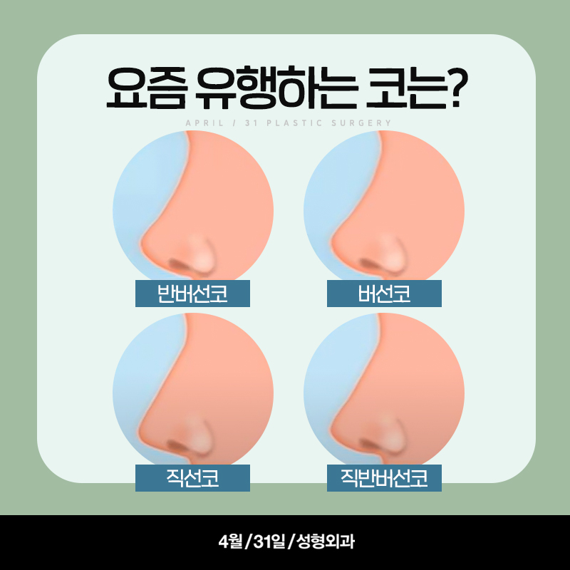 [Rhinoplasty] A Thorough Look at the 2024 Nose Trend! - An Analysis of Current Nose Trends image 2