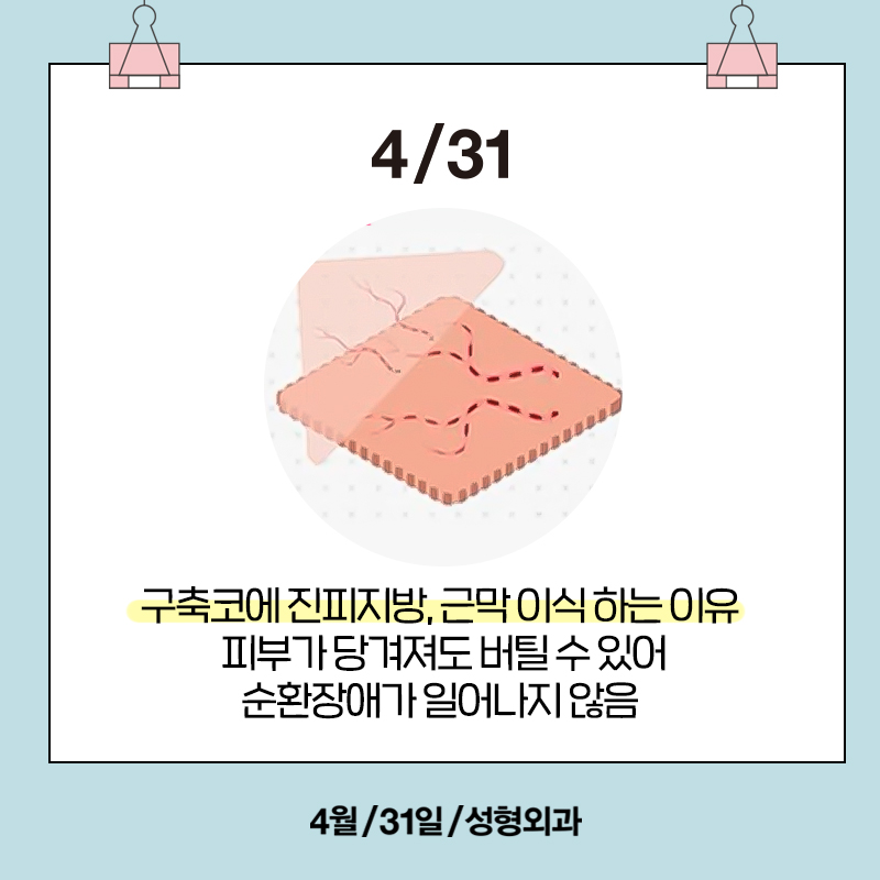 [Contracted Nose] Deep Analysis of the 5-Step Contracted Nose Correction Surgery Part 01_ Sufficient Dissection and Release image 7