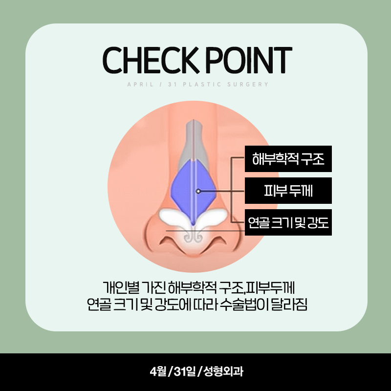 [Rhinoplasty] A Thorough Look at the 2024 Nose Trend! - An Analysis of Current Nose Trends image 3