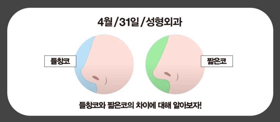 [코성형] 짧은코?들창코? 상태에 따른 수술방법 전격공개! 관련 이미지 2
