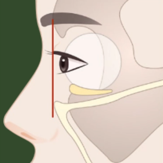[April 31 Plastic Surgery Clinic] The CSAT Is Over! What Exam-Takers Need to Know Before Plastic Surgery image 10