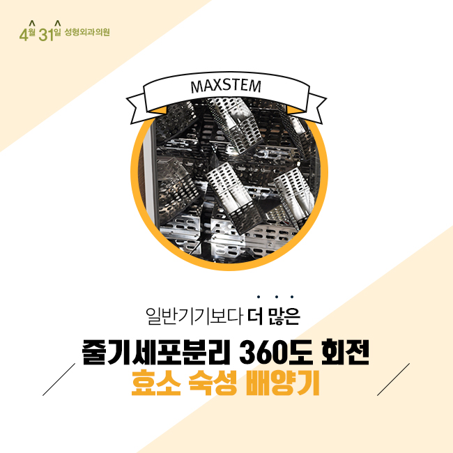 미세자가지방이식 4월31일 성형외과만의 노하우 관련 이미지 4