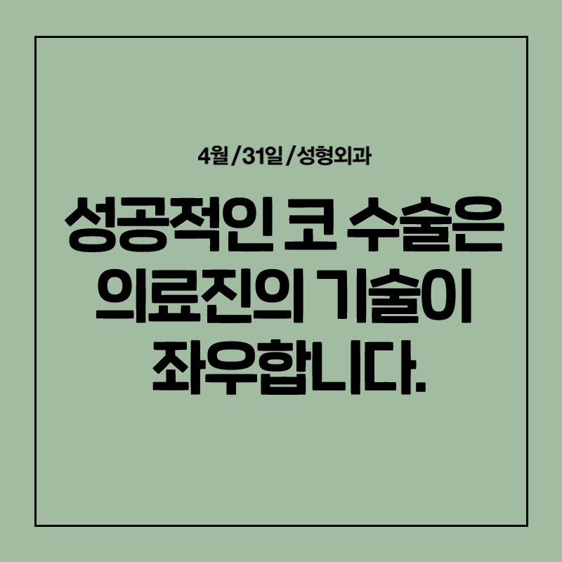 [코성형] 코에도 MBTI 가 있다? 코 유형 완벽 분석! 관련 이미지 15
