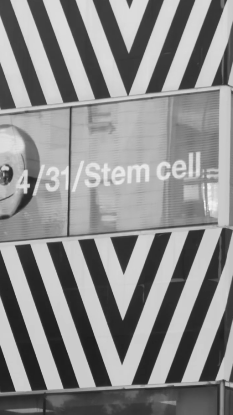 [April 31 Plastic Surgery] 4/31 Stem Cell Injection image 3