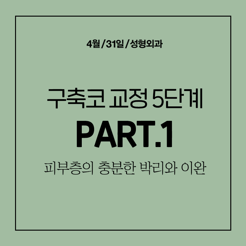 [Contracted Nose] Deep Analysis of the 5-Step Contracted Nose Correction Surgery Part 01_ Sufficient Dissection and Release image 1