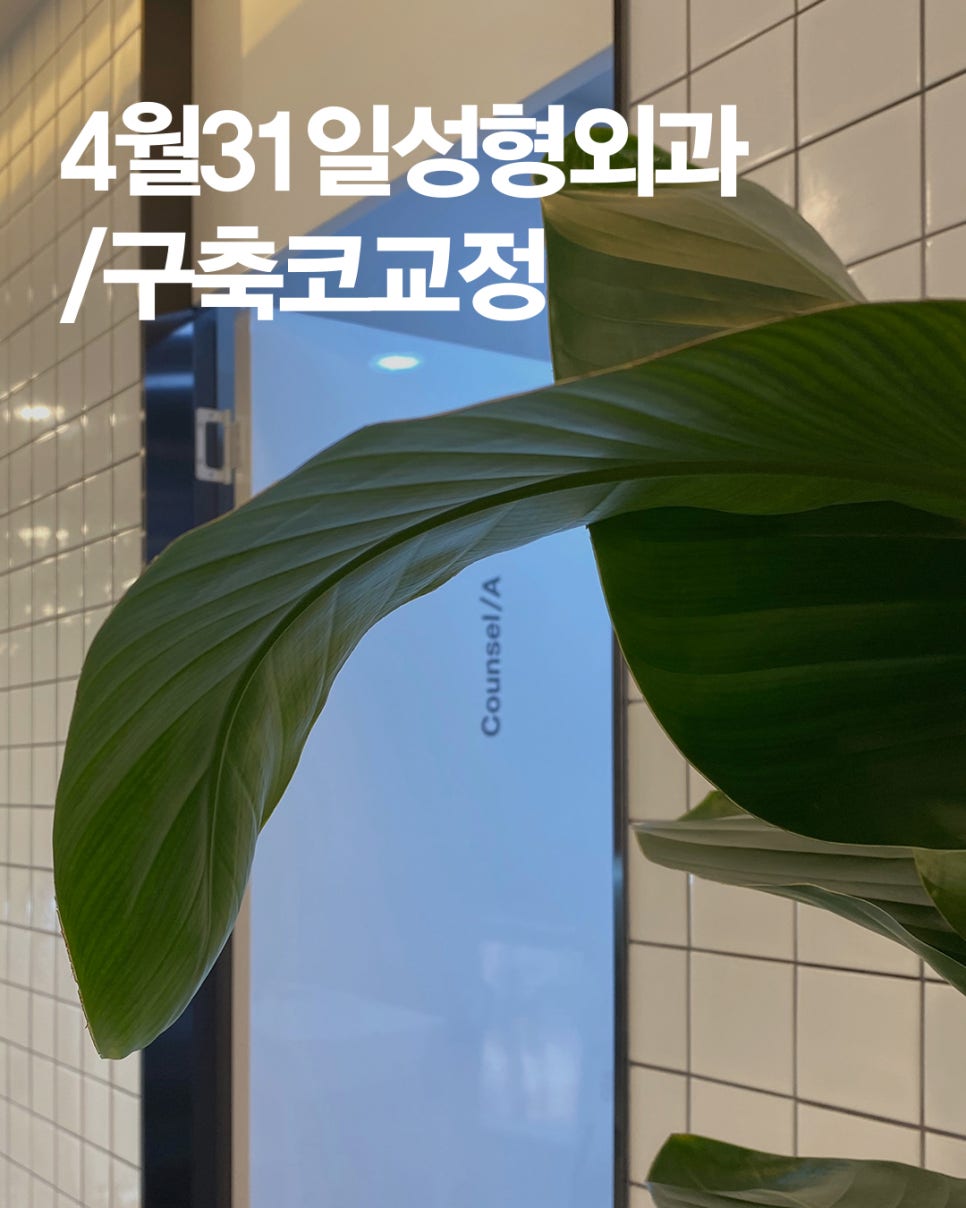 [Contracted Nose] Deep Analysis of the 5th Stage of Contracted Nose Correction / Part_04 Appropriate Grafting for the Nasal Bridge and Tip image 13