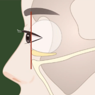[April 31 Plastic Surgery Clinic] The CSAT Is Over! What Exam-Takers Need to Know Before Plastic Surgery image 9