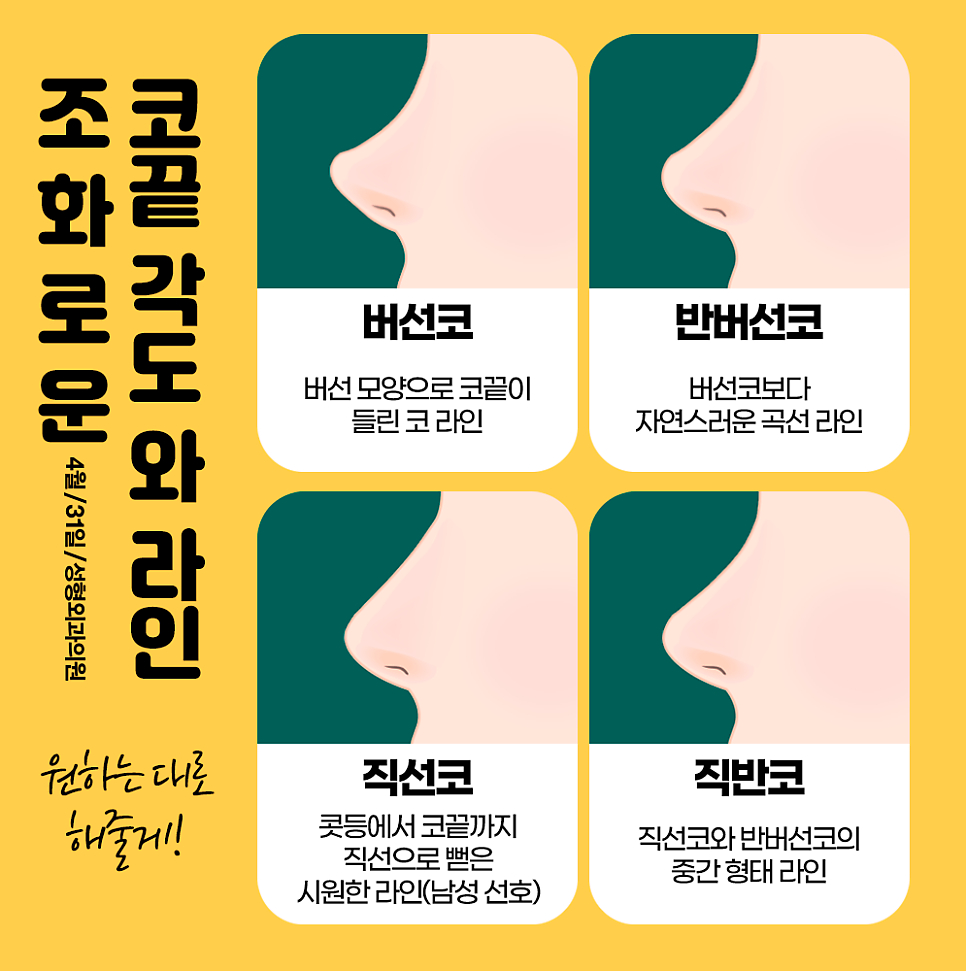 신사역코성형 원하는 라인에 맞게 예쁜 코라인 얻자 관련 이미지 3