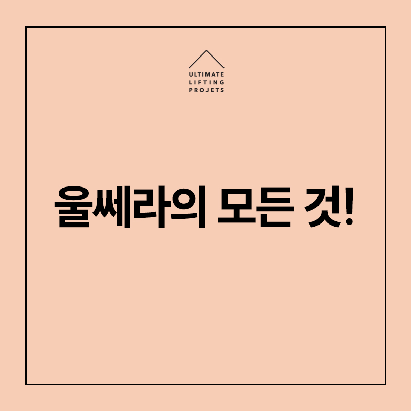 울쎄라의 모든 것(효과, 통증, 정품장비, 정품팁,주의사항 등) 관련 이미지 1