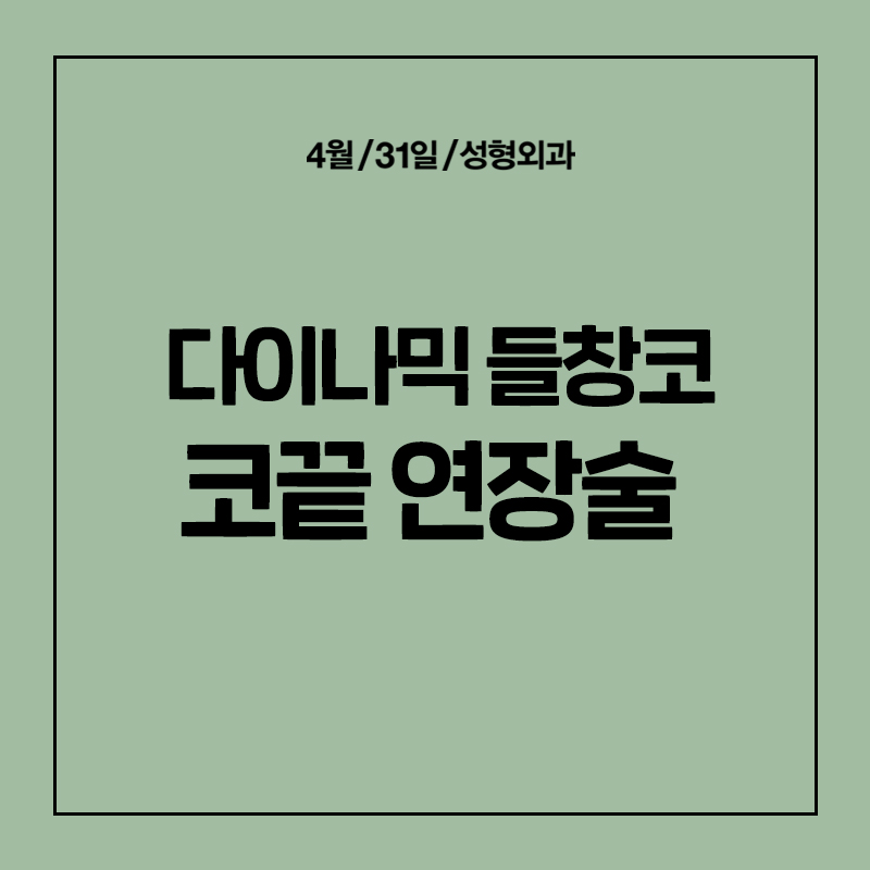 [코성형] 들창코,돼지코 고민이라면? 관련 이미지 1
