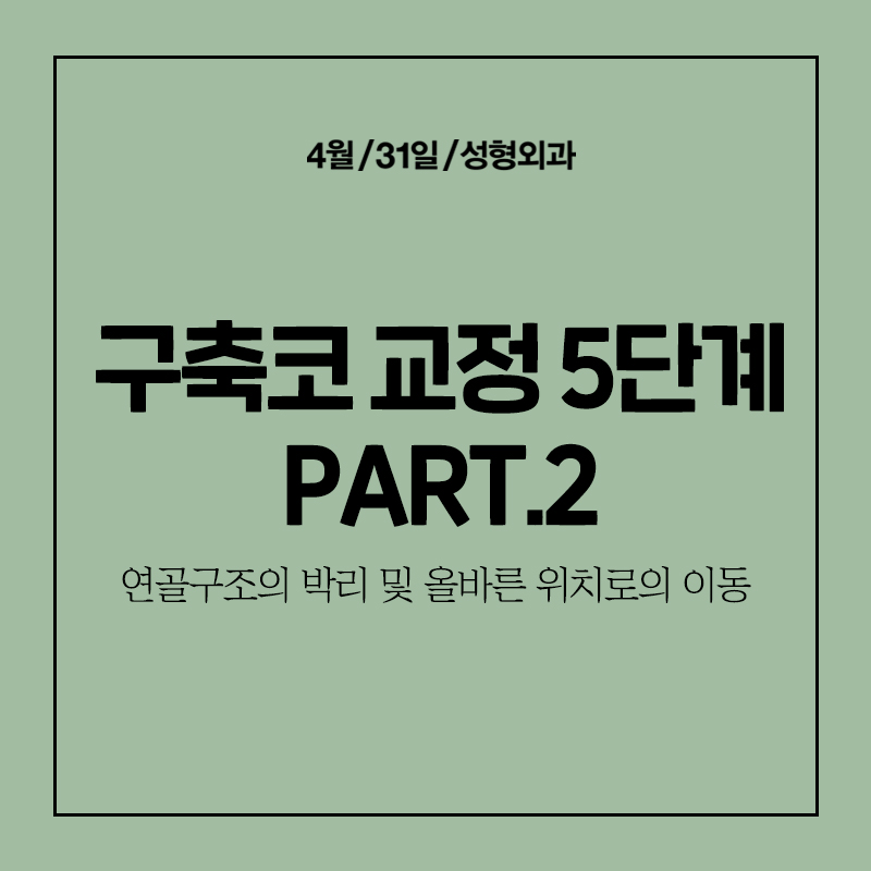 [Contracted Nose] Deep Analysis of the 5 Steps of Contracted Nose Correction Part 02_Separation of the Cartilage Structure and Relocation to the Correct Position image 1