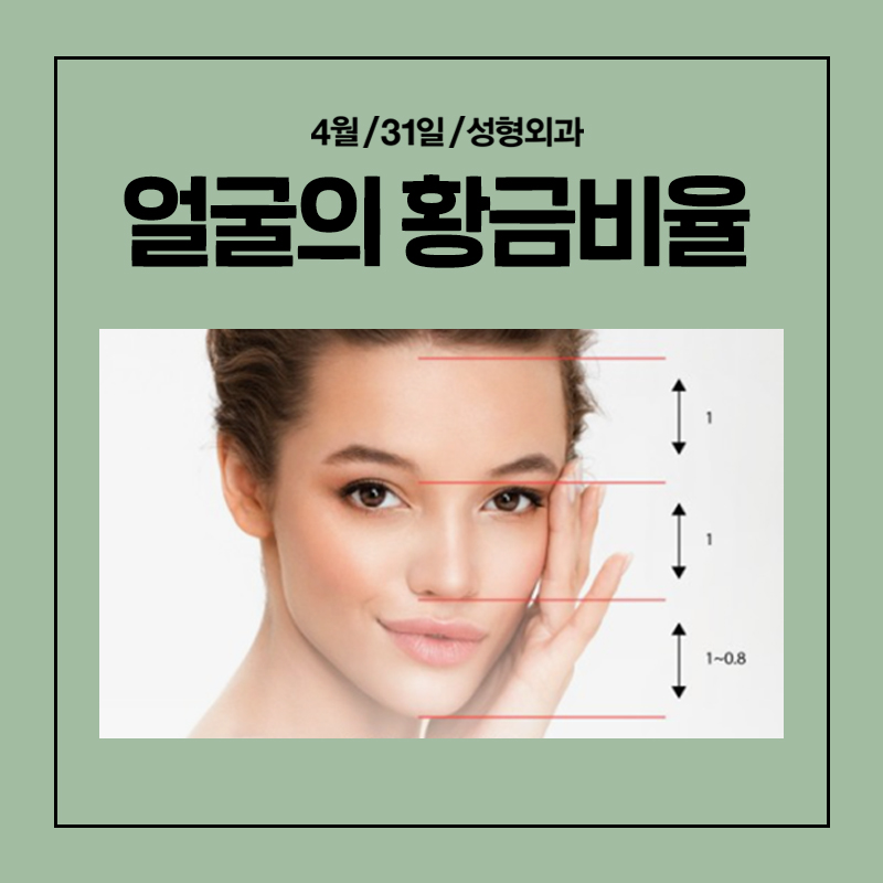 [코성형] 밸런스에 맞는 콧대길이 교정 관련 이미지 2