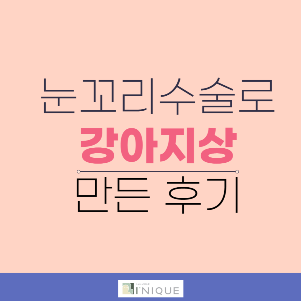 눈꼬리수술로 강아지상 만든 후기 관련 이미지 1