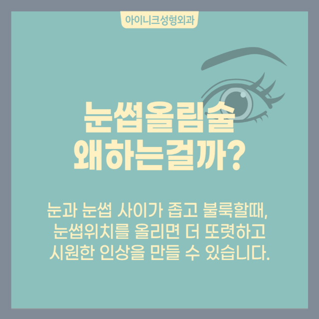 눈썹올림술 (브로우업) 아이니크와 제대로 알고 하자! 관련 이미지 2