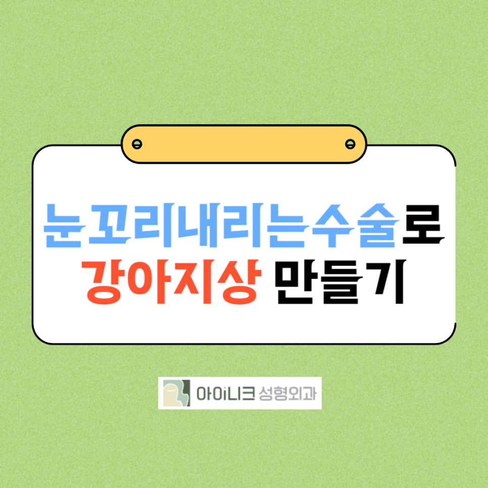눈꼬리내리는수술로 강아지상 만들기 관련 이미지 1