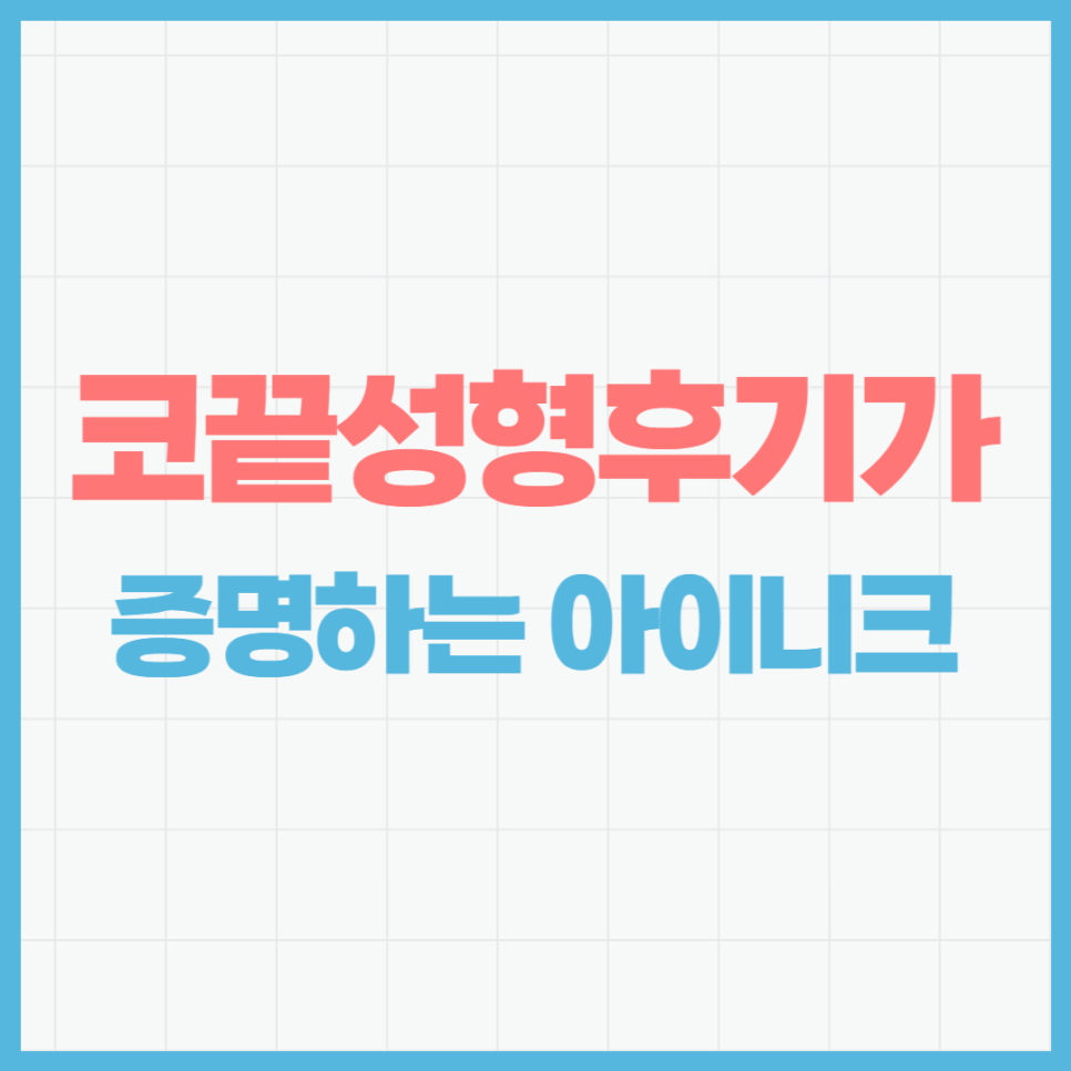 코끝성형후기가 증명하는 아이니크 관련 이미지 1