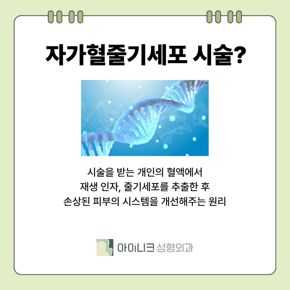 자가혈줄기세포 피부 효능 스스로 회복을 돕는 방법 관련 이미지 5