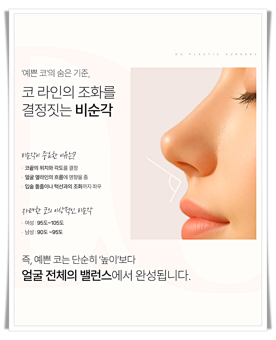코끝처짐 원인과 교정 방법 관련 이미지 16