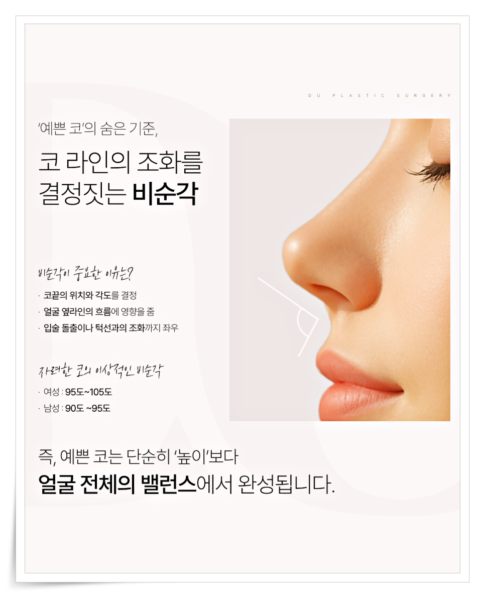 짧은코 재수술, 해결하려면 구조부터 봐야 합니다 관련 이미지 4