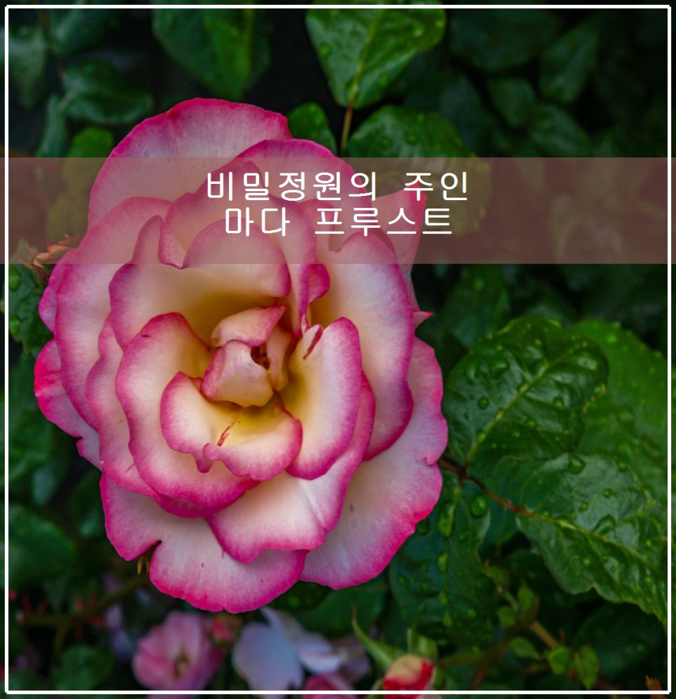 비밀정원의 주인마다 프루스트 관련 이미지 1