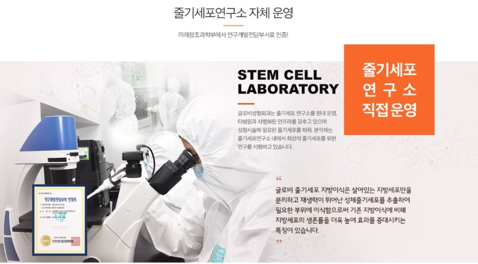 풀페이스지방이식 입체적인 동안페이스 관련 이미지 3