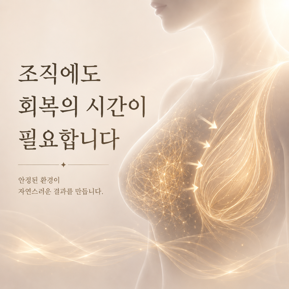 What to Check Before Consulting About Fat Grafting After Breast Implant Removal image 2