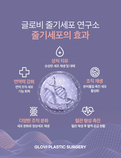 강남가슴성형, 지방이식전 알아둬야할 체크리스트 관련 이미지 10