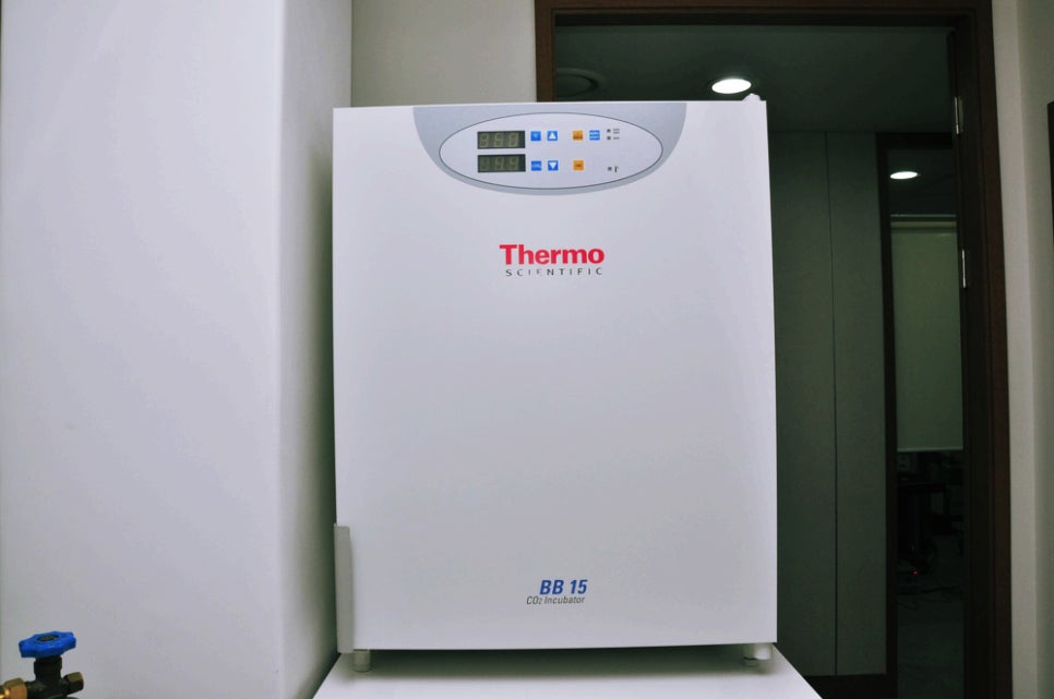 압구정 글로비성형외과, 왜 신뢰할 수 있을까요? 관련 이미지 4