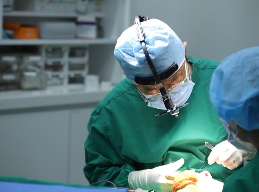 Septal Rhinoplasty: Honestly Answering the Question, “Is It Okay to Remove It?” image 3