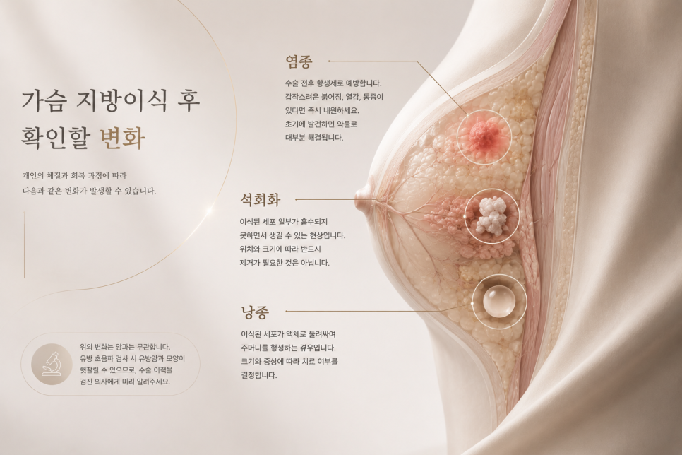 가슴지방이식 특징, 자연스러운 촉감과 주의할 점 관련 이미지 5