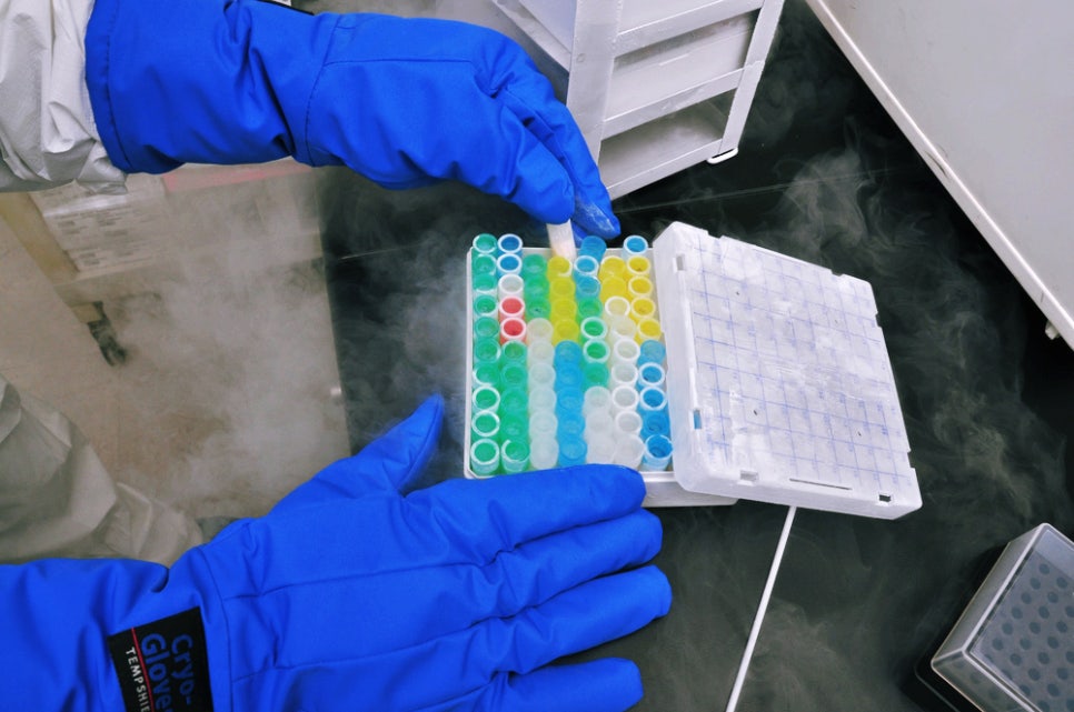 압구정 글로비성형외과, 왜 신뢰할 수 있을까요? 관련 이미지 5