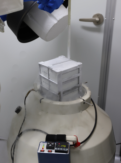Stem Cell Breast Fat Grafting: Maximizing the Engraftment Rate image 3