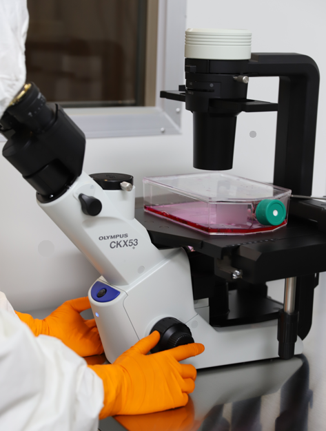 Breast Fat Grafting Review: Results That Differ Depending on the Presence of Stem Cells image 4
