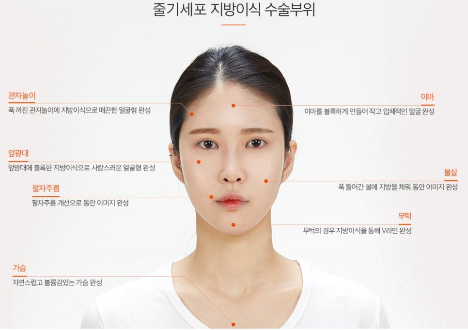 풀페이스지방이식 입체적인 동안페이스 관련 이미지 2