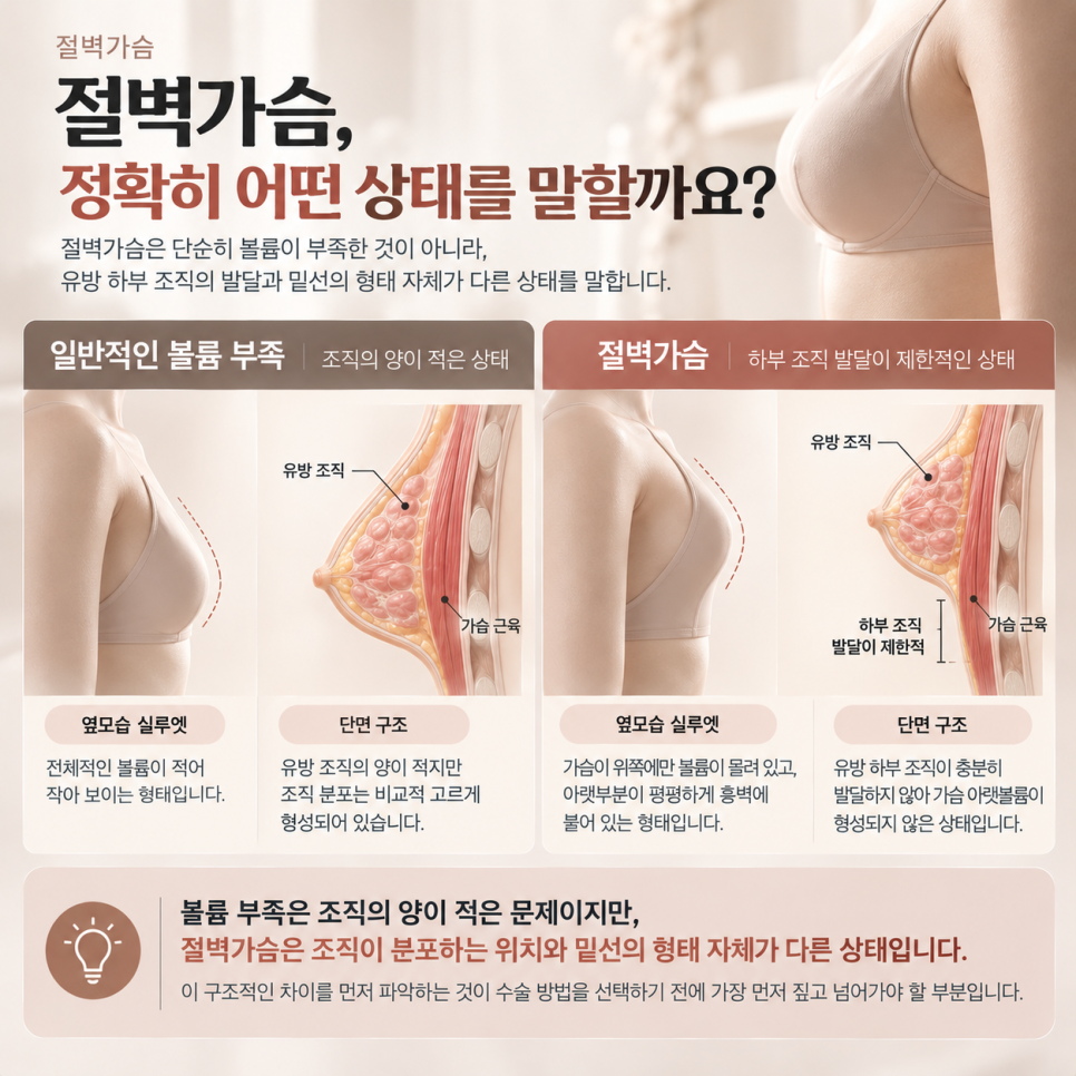 절벽가슴수술, 보형물만으로 될까요? 모양 교정이 따로 필요한 이유 관련 이미지 2
