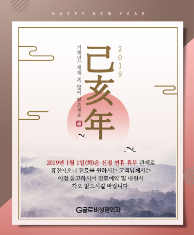 글로비성형외과 1월 휴진일 안내 관련 이미지 1