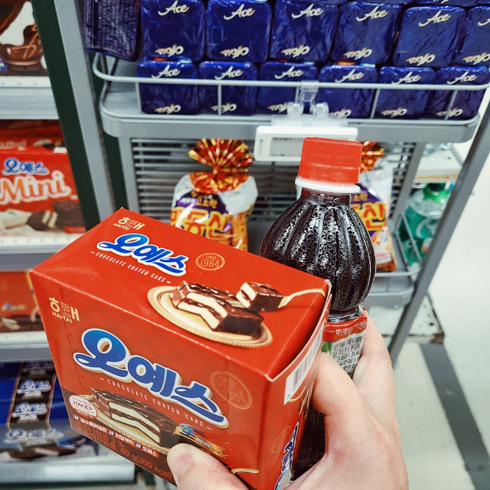 3박4일 제주~ 인스타에 안올린 사진만 관련 이미지 8