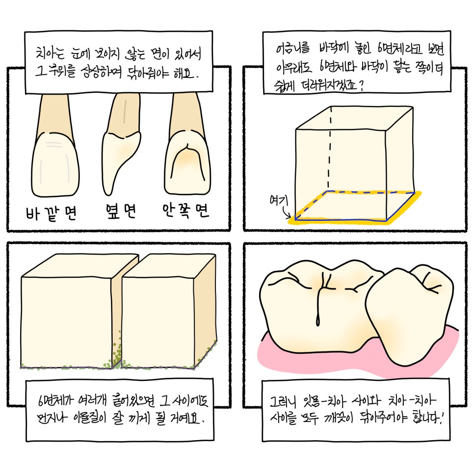 앞니 치실 사용법 제대로 익혀 치과 치료비 아껴요 관련 이미지 1