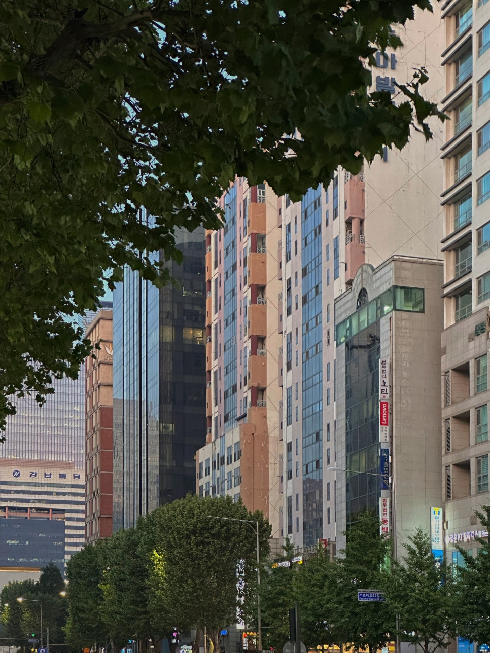 교대역 충치 치과, 신경치료 진단은 보수적으로 접근합니다. 관련 이미지 19