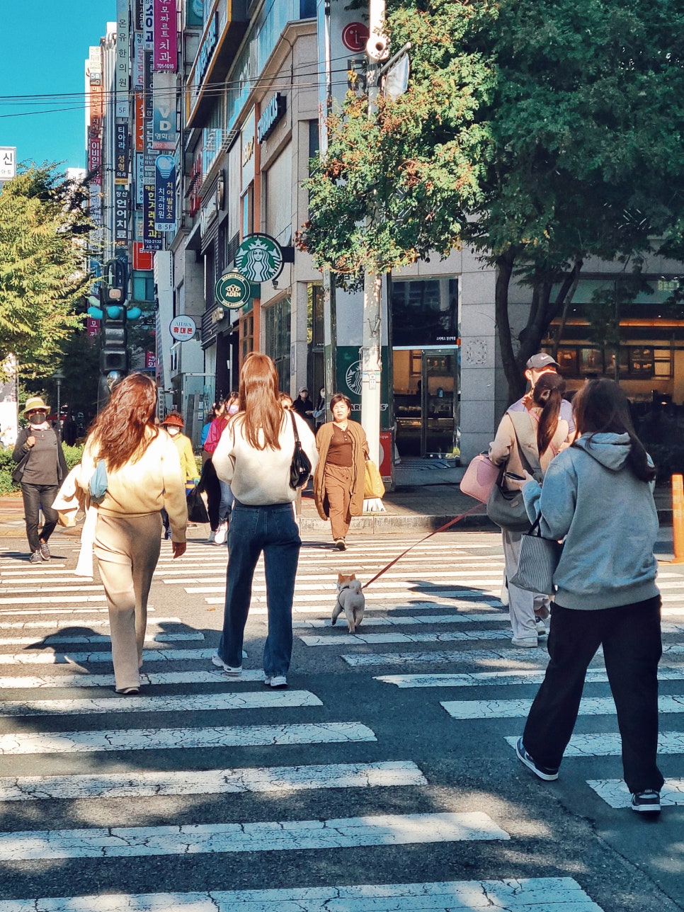 22.10.13. 관련 이미지 11