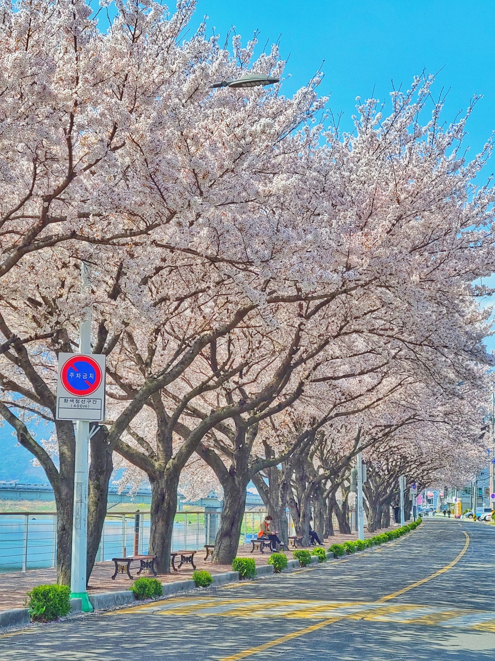 페닥 일기 시작 : 동네 구경 관련 이미지 2