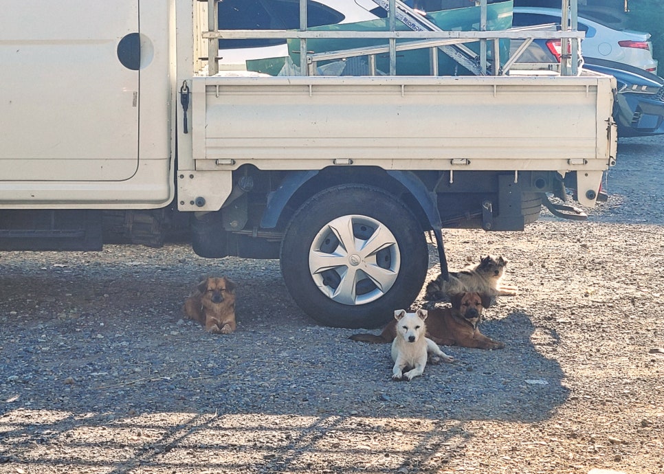 20주차는 의식의 흐름대로🌊 관련 이미지 1