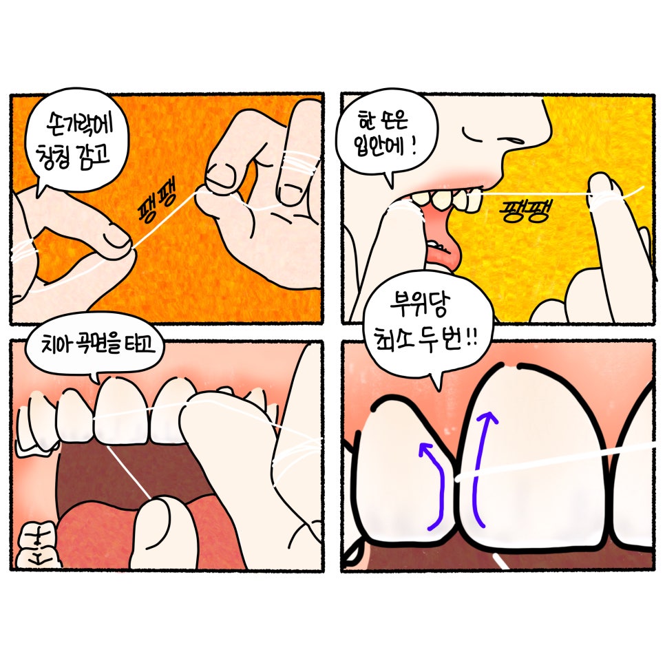 앞니 치실 사용법 제대로 익혀 치과 치료비 아껴요 관련 이미지 2