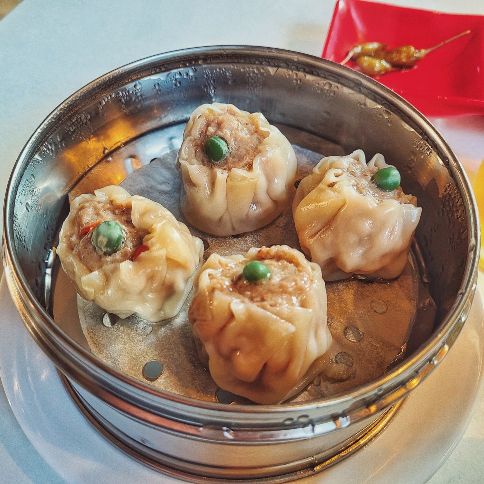 3박4일 제주~ 인스타에 안올린 사진만 관련 이미지 15