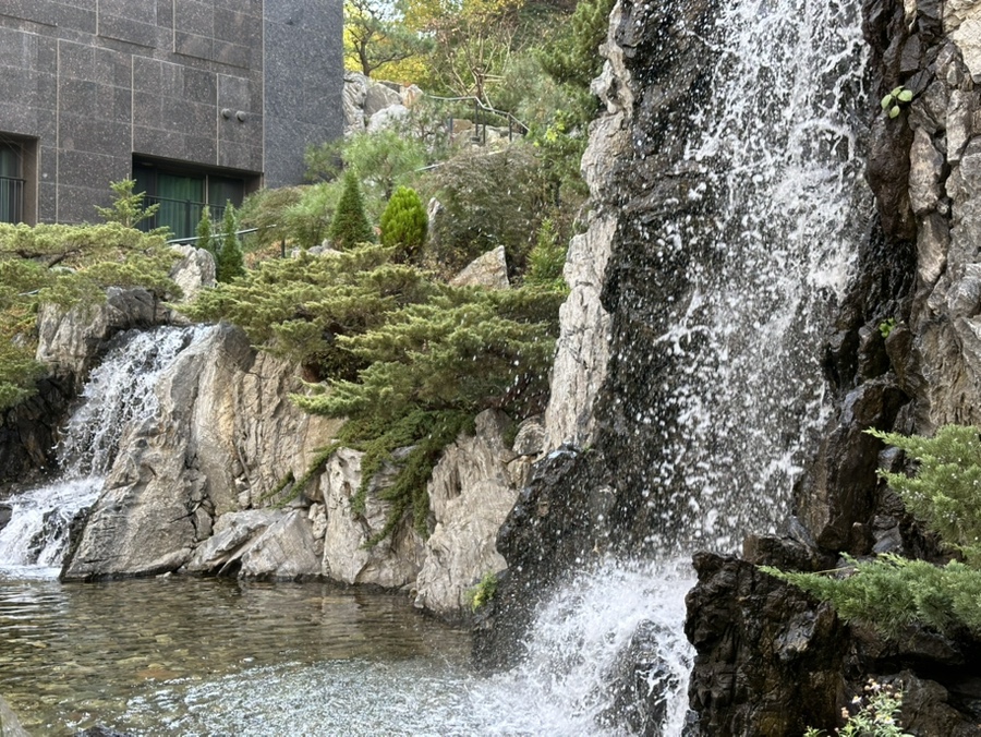 강남 치과 대표원장의 진짜 그냥 일상 얘기 관련 이미지 12