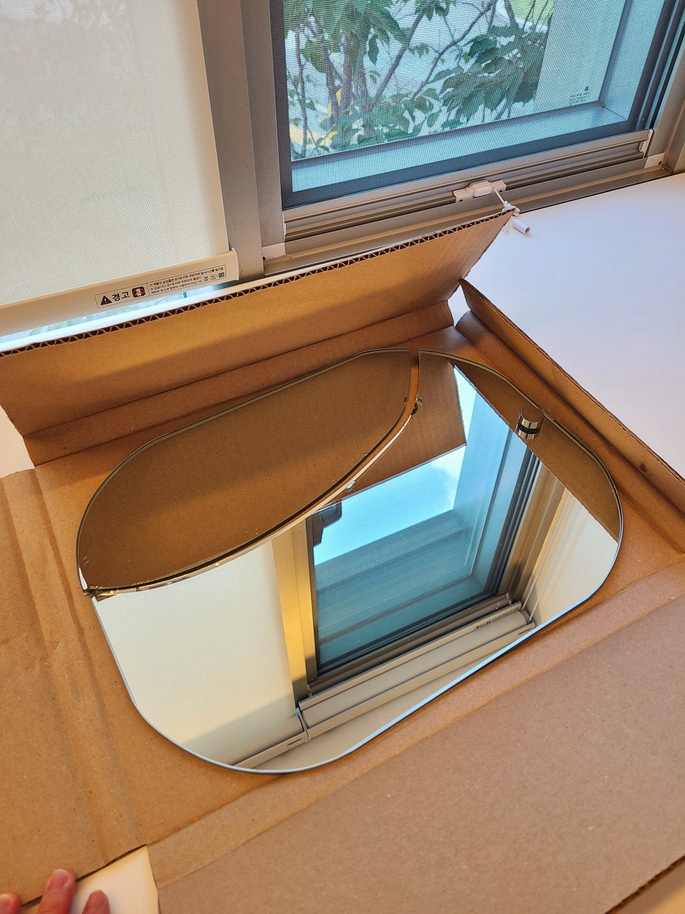 진짜 어이없네 (16주차 페닥일기) 관련 이미지 2