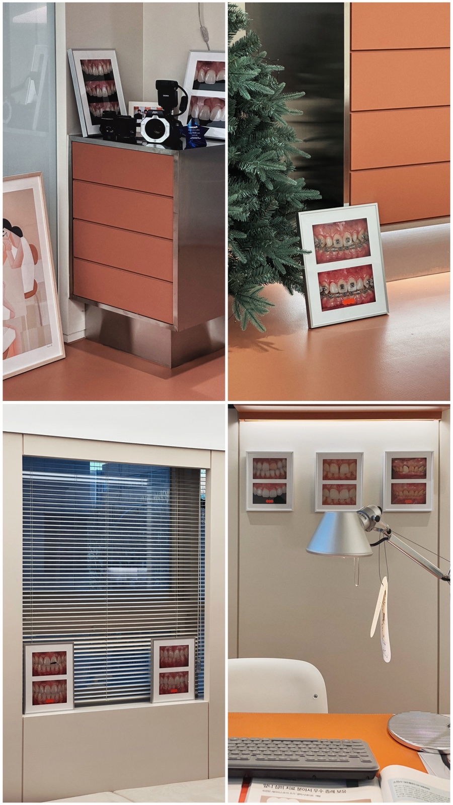 원생마 관련 이미지 3