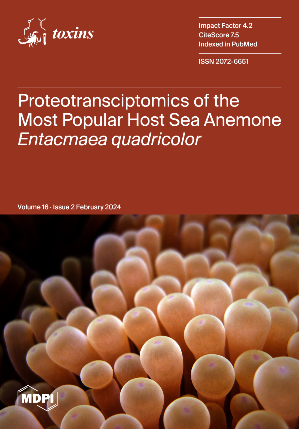 교대역 치과 보톡스 가격, 제오민을 고집하는 이유 (feat.코어톡스) 관련 이미지 2