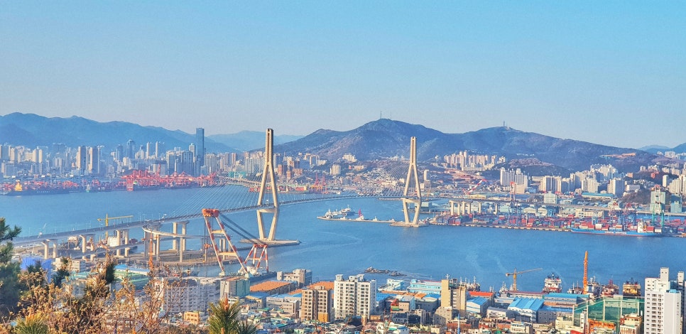 치과 페이닥터 3개월째 근무 일기 long ver. 관련 이미지 10