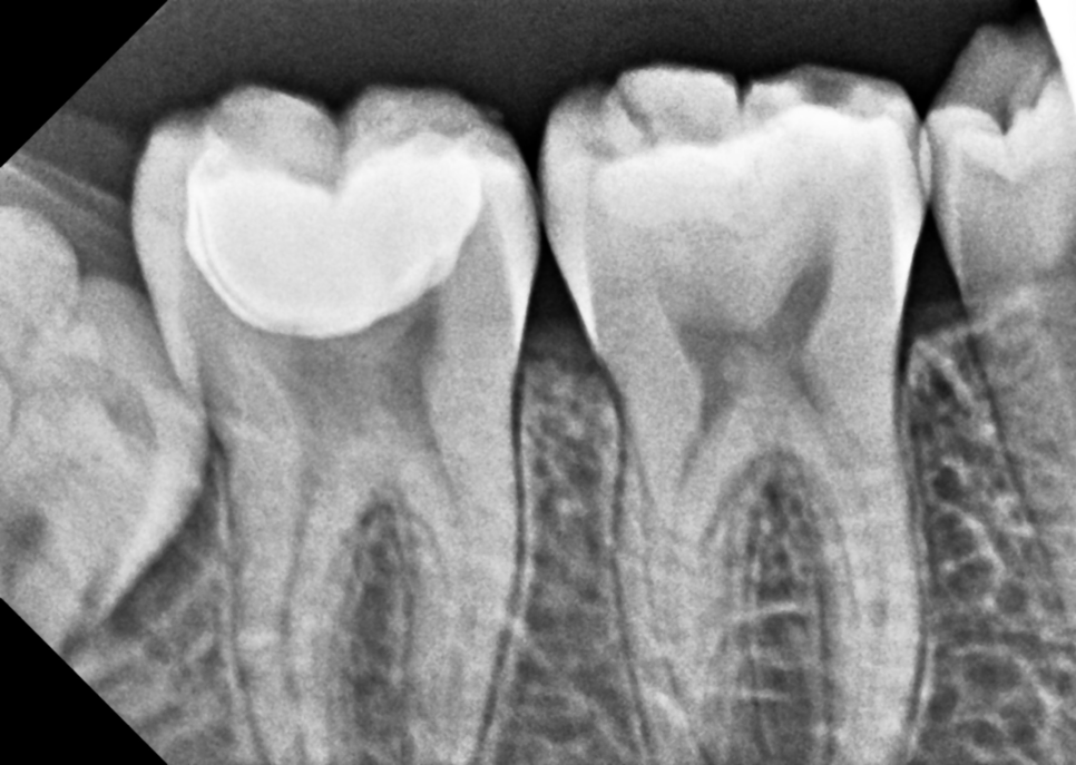 Aesthetic Dentistry Practice Opening Story 3 image 3